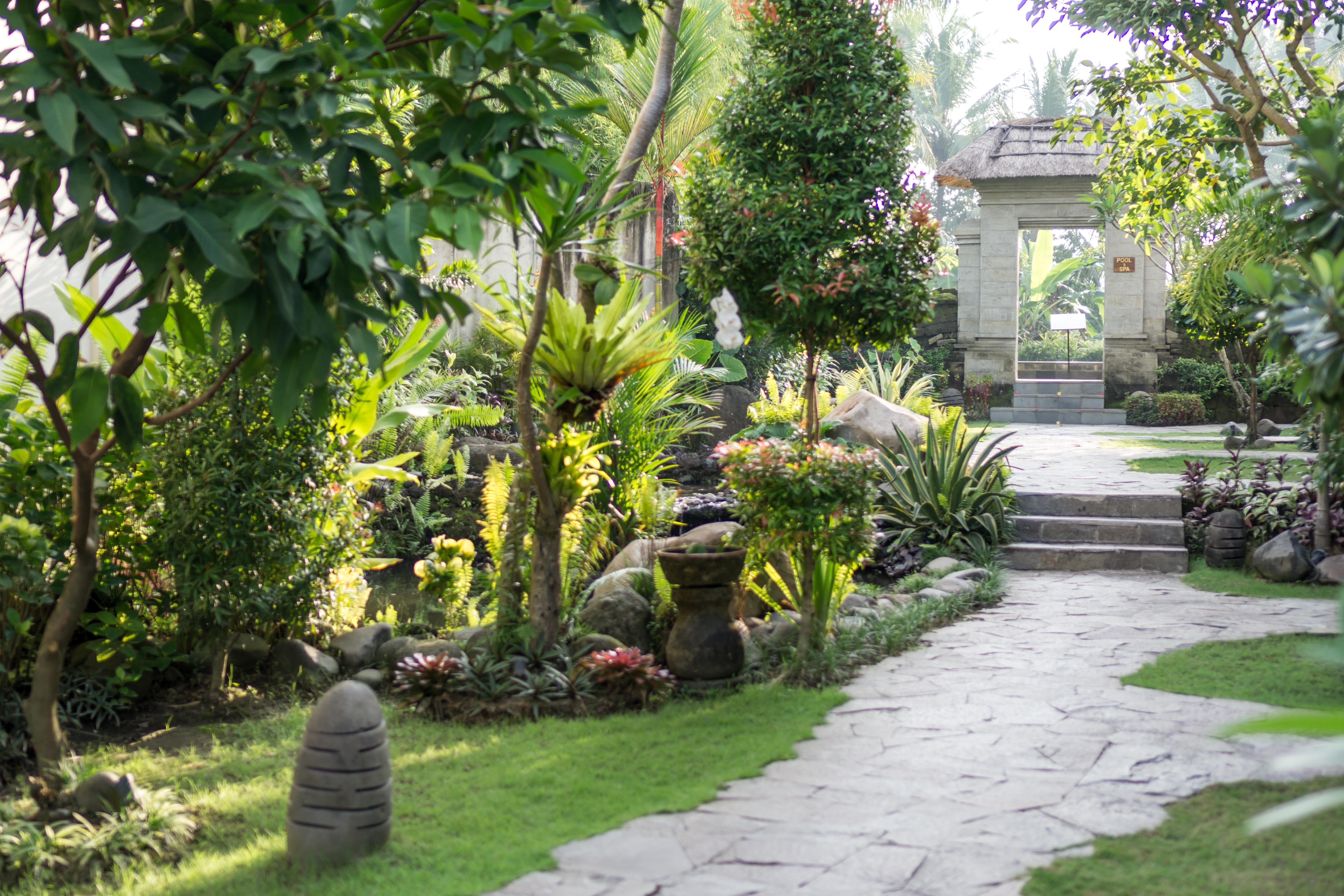 Radha Phala Resort & Spa Ubud  Ngoại thất bức ảnh