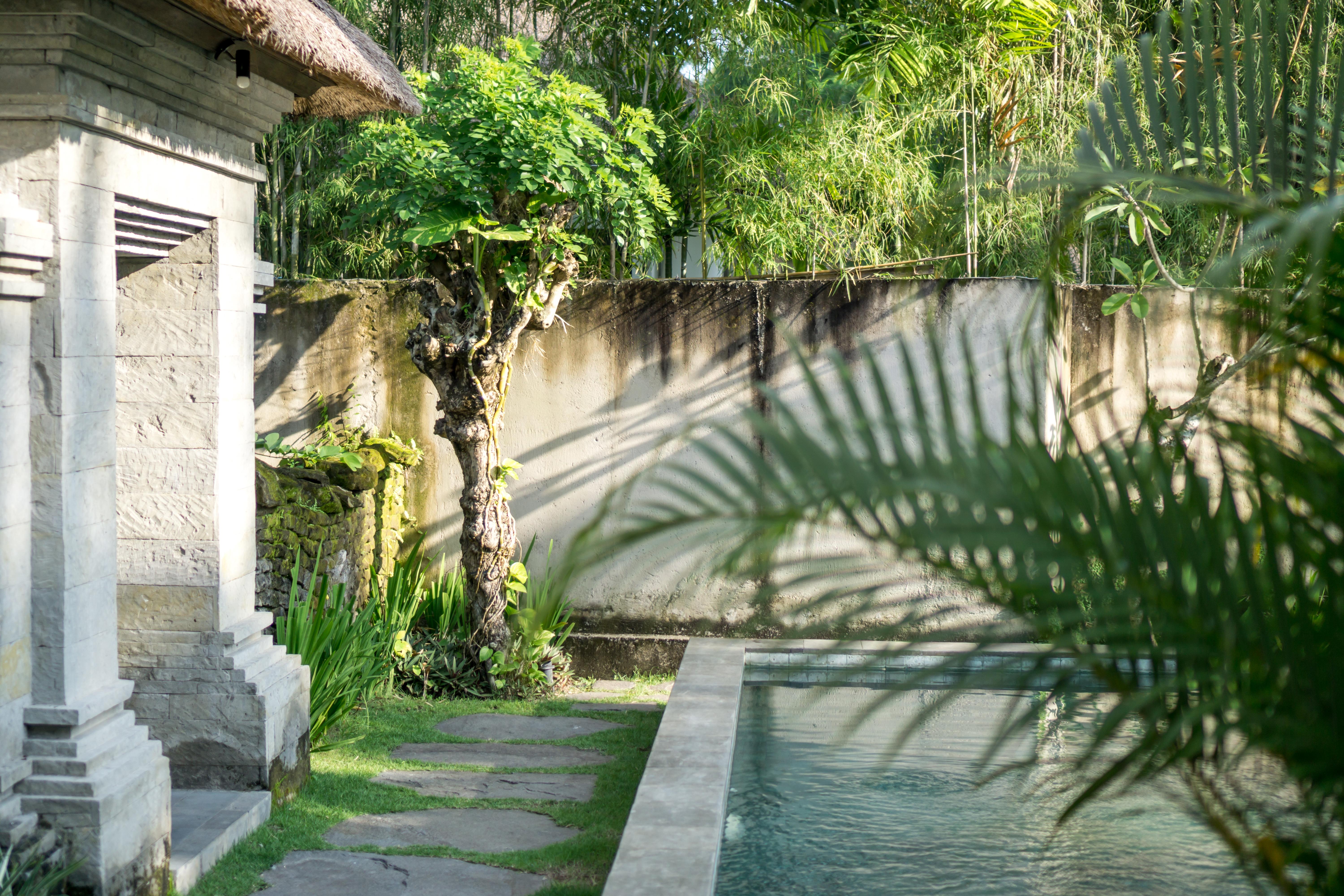 Radha Phala Resort & Spa Ubud  Ngoại thất bức ảnh